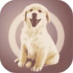 前訓練師
：湖人王朝瓦解不隻是OK組合的問題 球隊每個人都有責任